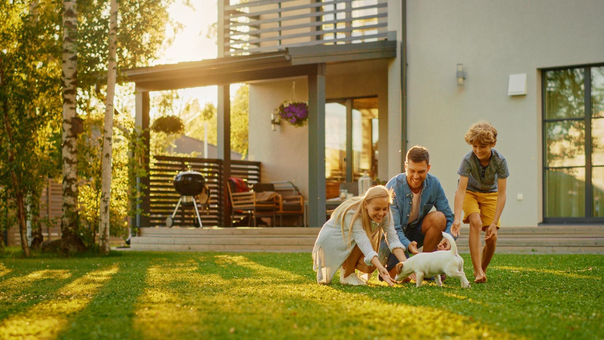 Garten mit Hund und Hundefutter sensitiv als Konzept