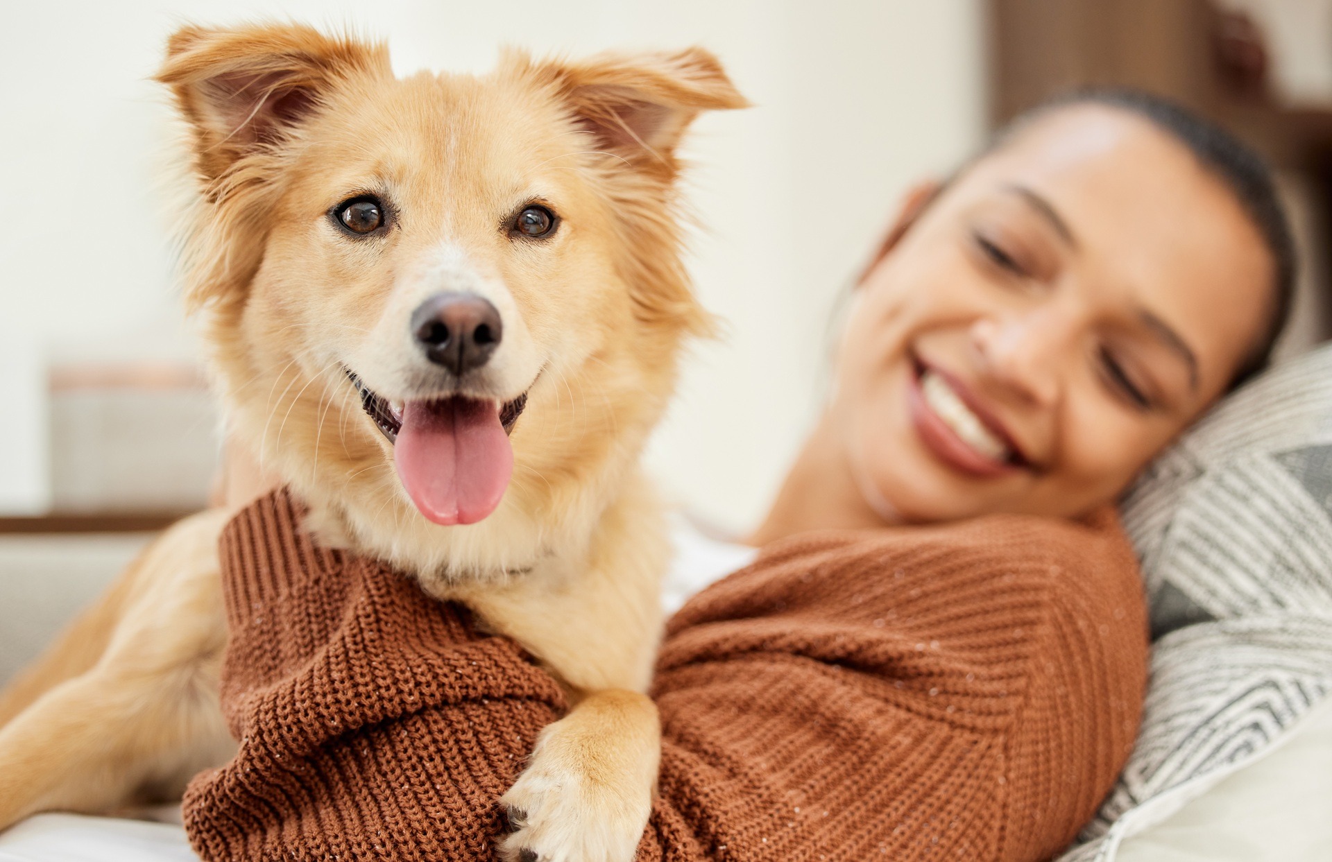 Nähe und Ruhe durch Hundefutter sensitiv im Alltag