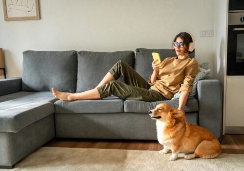 Raum für Rückzug – wie das Zuhause hundefreundlich wird