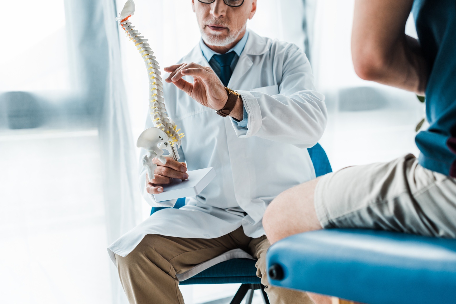 Wirbelsäulenberatung mit Modell beim Termin | Chiropraktik Berlin

